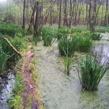 Apartment Hafenzauber *