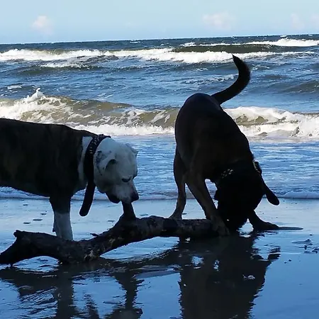 Apartment Hafenzauber *