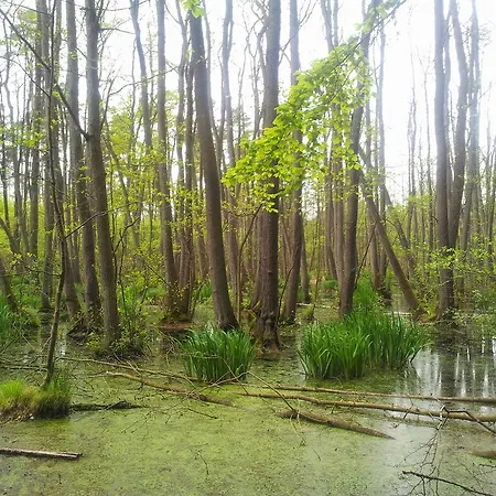 Hafenzauber Apartment